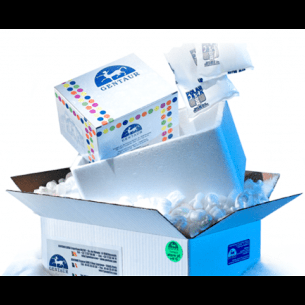 Gt antisize:Ms IgG Fc  Polystyrene Particles, 0.25%w/v, 0.7size:0.9µm, 20mL